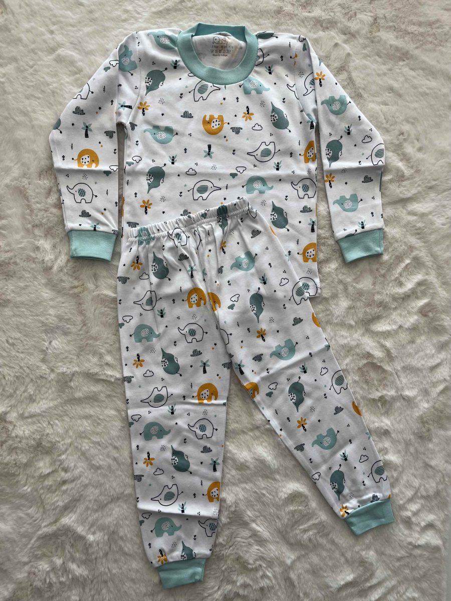 Mint Fil  Desenli Pijama Takımı