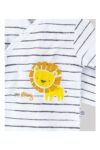 hastane-cikisi-10lu-baby-lion-mavi-63160-1295.jpg